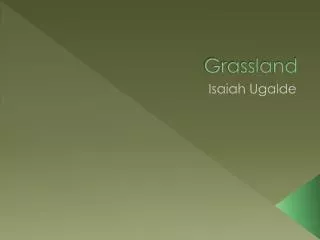 Grassland