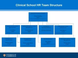 Clinical School HR Team Structure