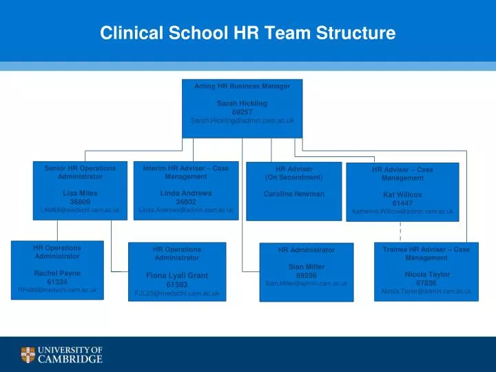clinical school hr team structure