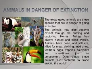 ANIMALS IN DANGER OF EXTINCTION