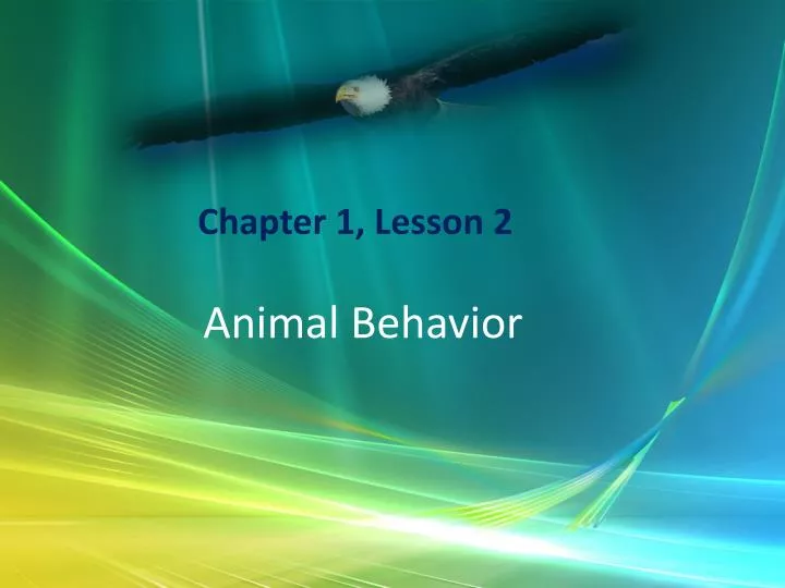 animal behavior