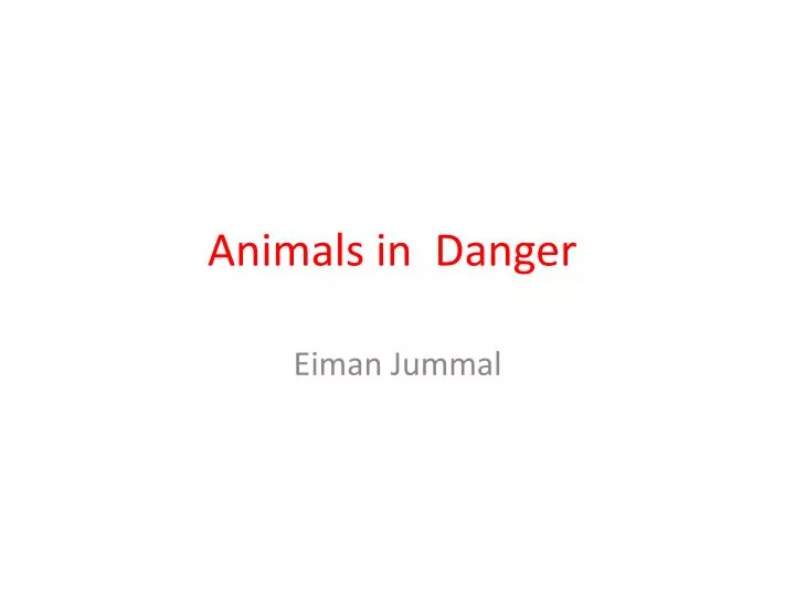 animals in danger