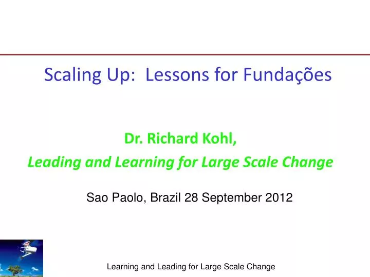scaling up lessons for funda es