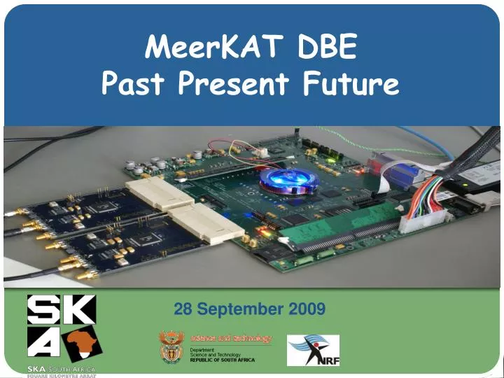 meerkat dbe past present future