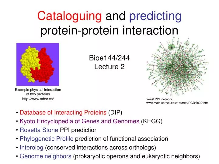 cataloguing and predicting protein protein interaction bioe144 244 lecture 2