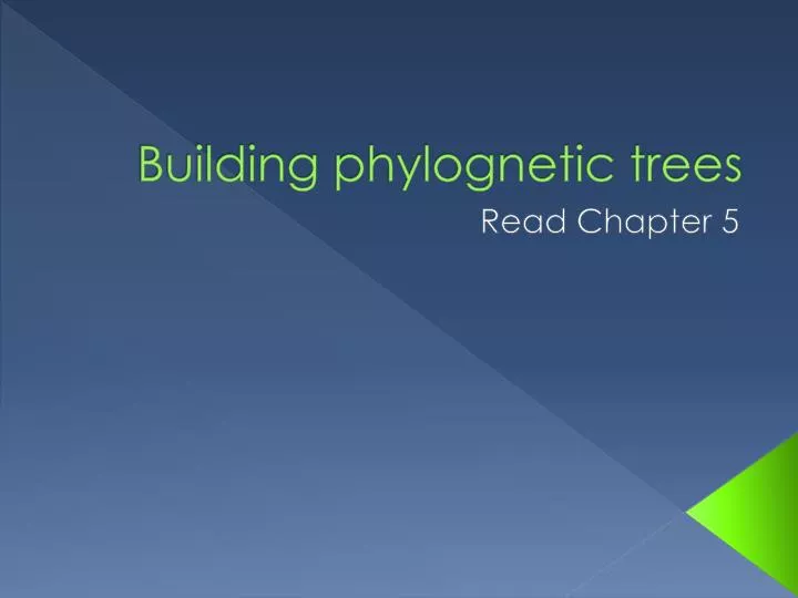 building phylognetic trees