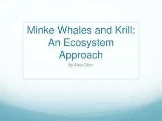 Minke Whales and Krill: An Ecosystem Approach