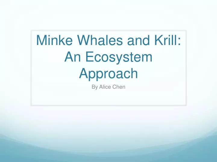 minke whales and krill an ecosystem approach