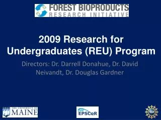2009 Research for Undergraduates (REU) Program