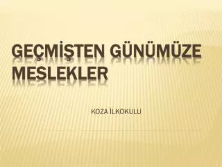 koza lkokulu