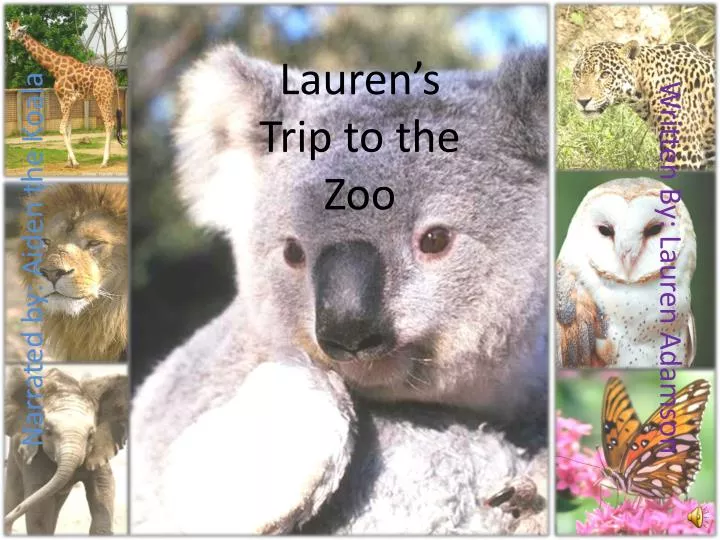 lauren s trip to the zoo