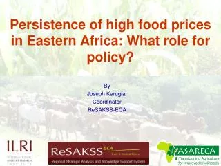 Persistence of high food prices in Eastern Africa: What role for policy?