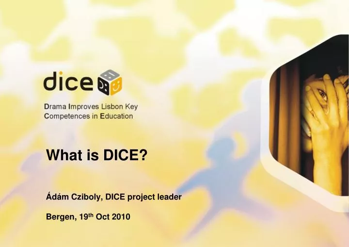what is dice d m cziboly dice project leader bergen 19 th oct 2010