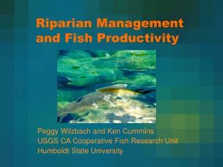 Riparian Management and Fish Productivity