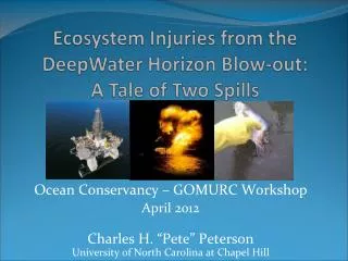 Ecosystem Injuries from the DeepWater Horizon Blow-out: A Tale of Two Spills
