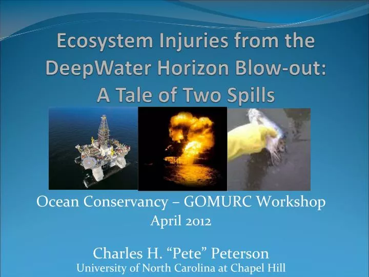 ecosystem injuries from the deepwater horizon blow out a tale of two spills