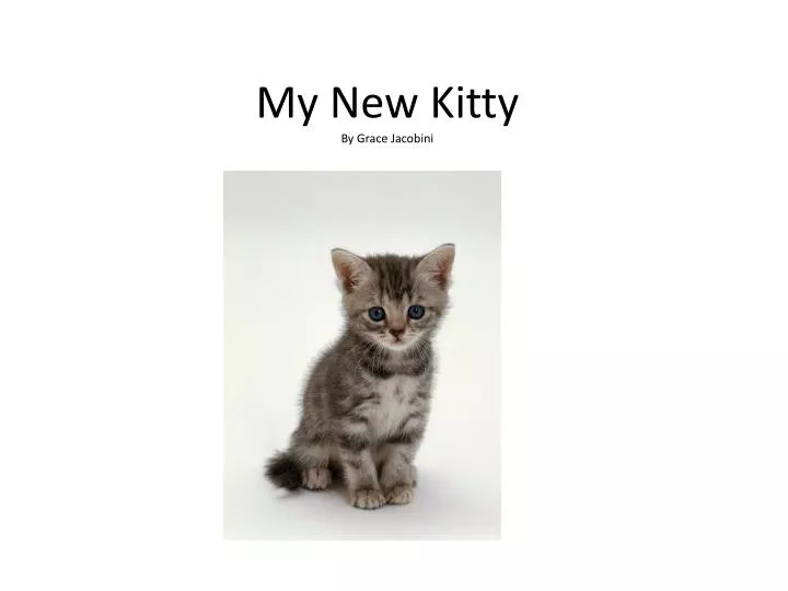 my new kitty by grace jacobini