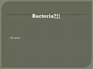 Bacteria ?!!
