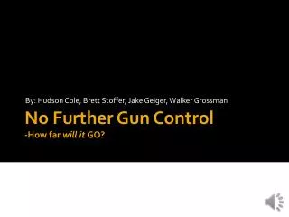 No Further Gun Control -How far will it GO?