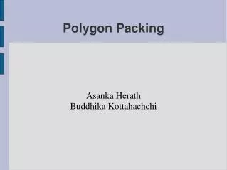 Polygon Packing