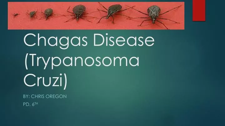 chagas disease trypanosoma cruzi