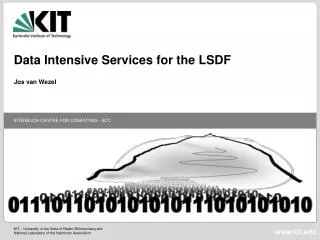 Data Intensive Services for the LSDF