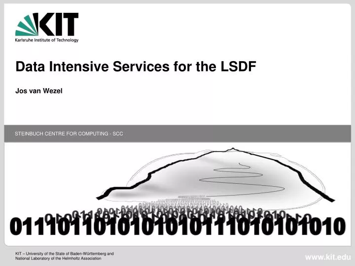 data intensive services for the lsdf
