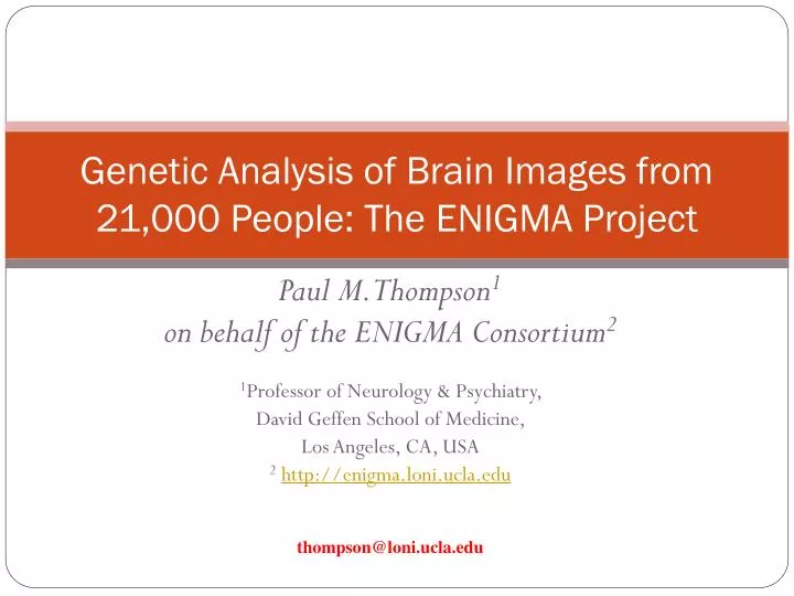 genetic analysis of brain images from 21 000 people the enigma project