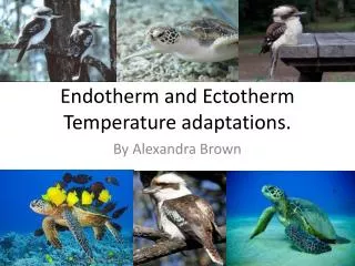Endotherm and Ectotherm Temperature adaptations.
