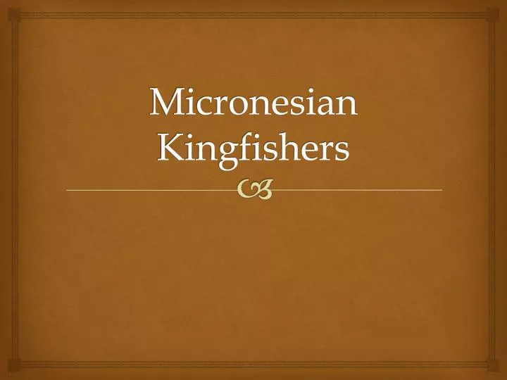 micronesian kingfishers