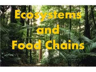 Ecosystems and Food Chains