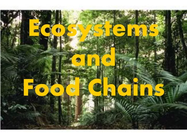 ecosystems and food chains