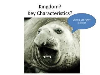 kingdom key characteristics