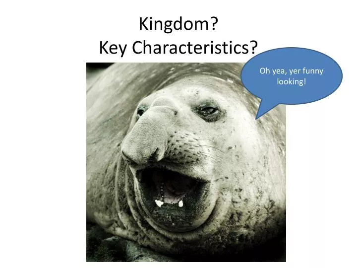 kingdom key characteristics