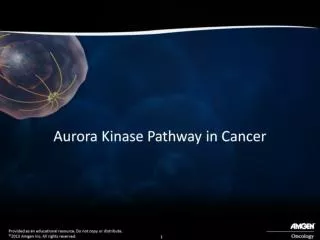 Aurora Kinase Pathway in Cancer