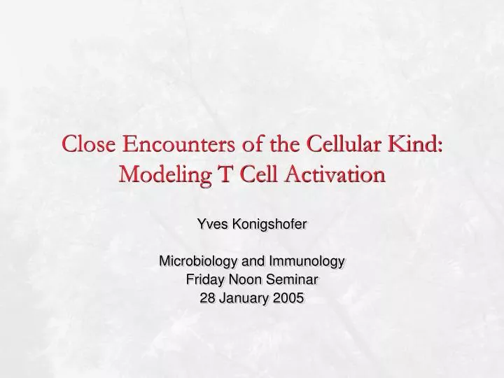 close encounters of the cellular kind modeling t cell activation