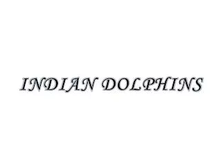 INDIAN DOLPHINS