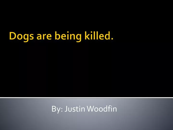 dogs are being killed