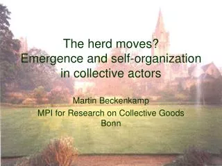 The herd moves? Emergence and self-organization in collective actors