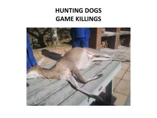 HUNTING DOGS GAME KILLINGS