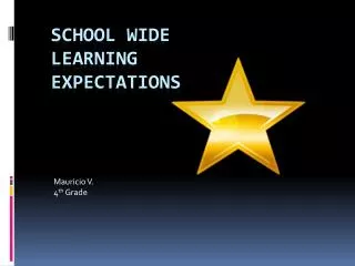 School wide learning expectations