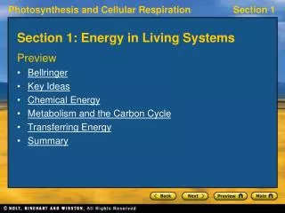 Section 1: Energy in Living Systems