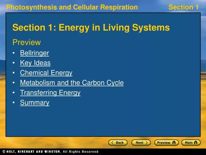 section 1 energy in living systems