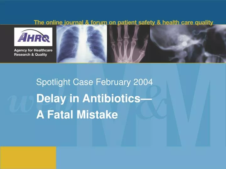 spotlight case february 2004