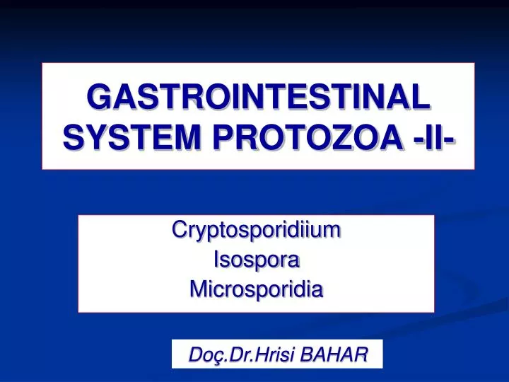 gastrointestinal system protozoa ii