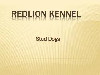 Redlion Kennel