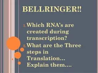 BELLRINGER !!