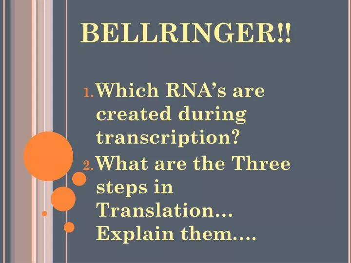 bellringer