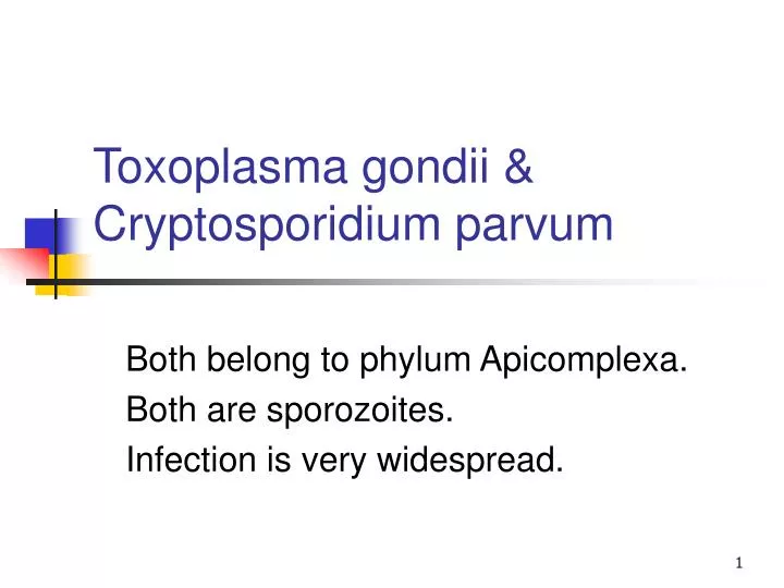 toxoplasma gondii cryptosporidium parvum