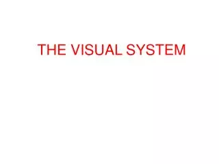 THE VISUAL SYSTEM